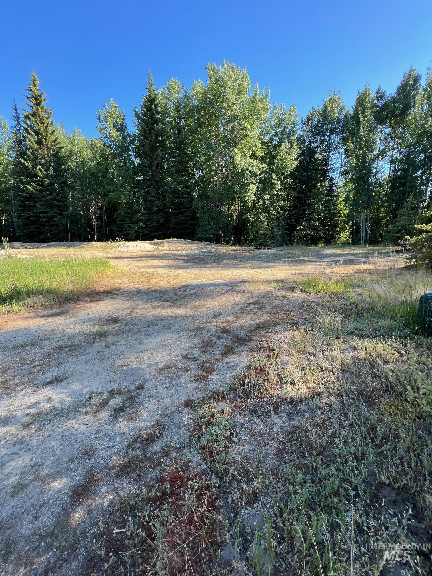 321 Mountain Cove Court McCall, ID 83638 - Photo 28 of 43