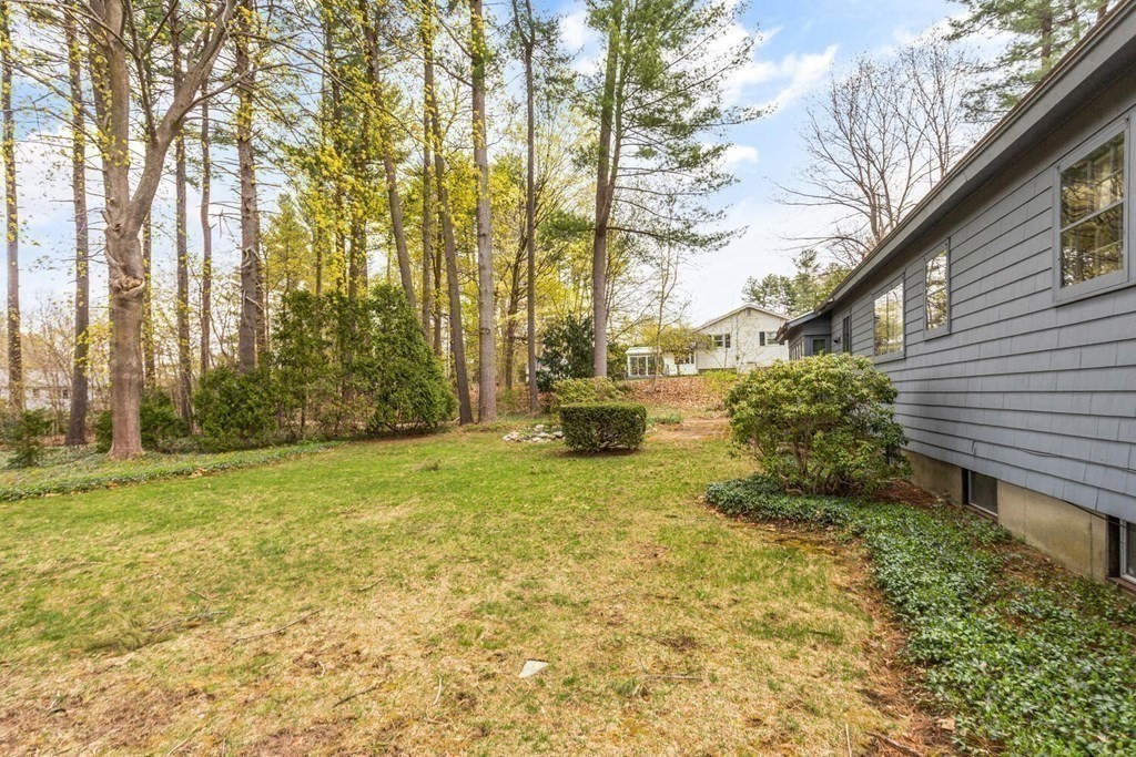 41 Ansie Road Chelmsford, MA 01824 - Photo 24 of 28 a backyard of a house with large trees and plants