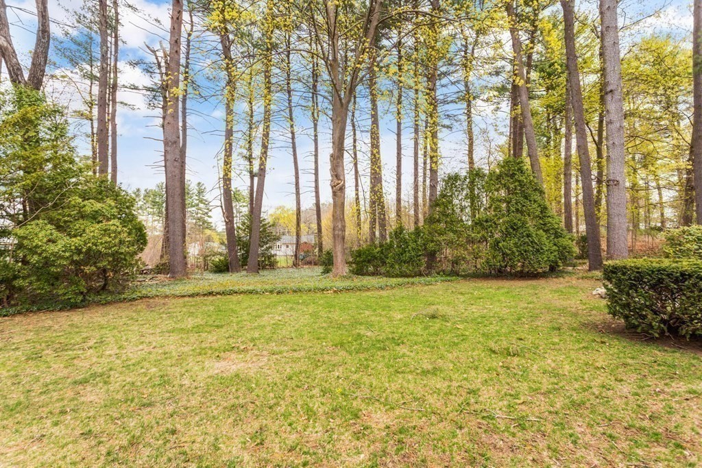 41 Ansie Road Chelmsford, MA 01824 - Photo 25 of 28 a view of a yard with large trees