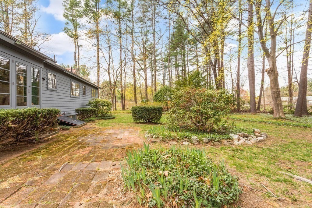 41 Ansie Road Chelmsford, MA 01824 - Photo 26 of 28 a view of backyard of house with green space