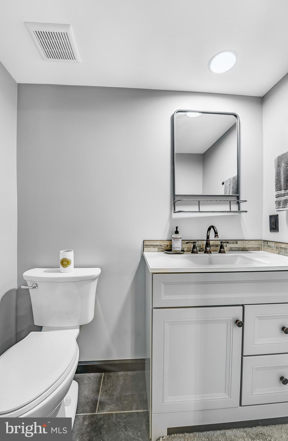 3226 State Hill Road Reading, PA 19608 - Photo 37 of 54 a bathroom with a toilet a sink and mirror