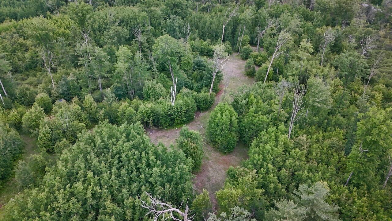 4473 Hamilton Drive Harrison, MI 48625 - Photo 6 of 77 4