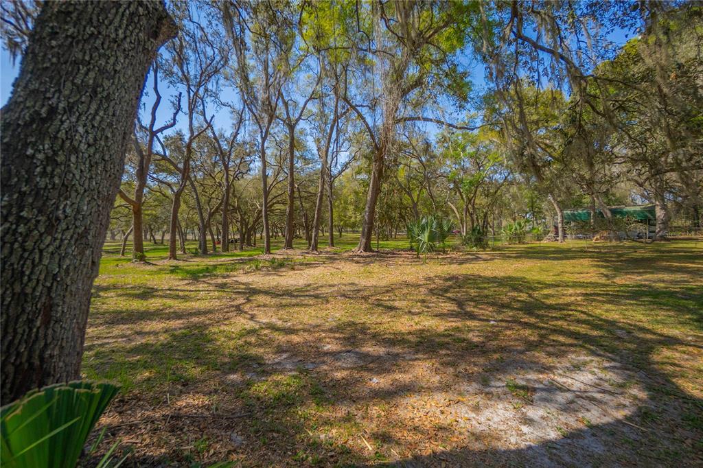 9800 East Regency Row Inverness, FL 34450 - Photo 58 of 66