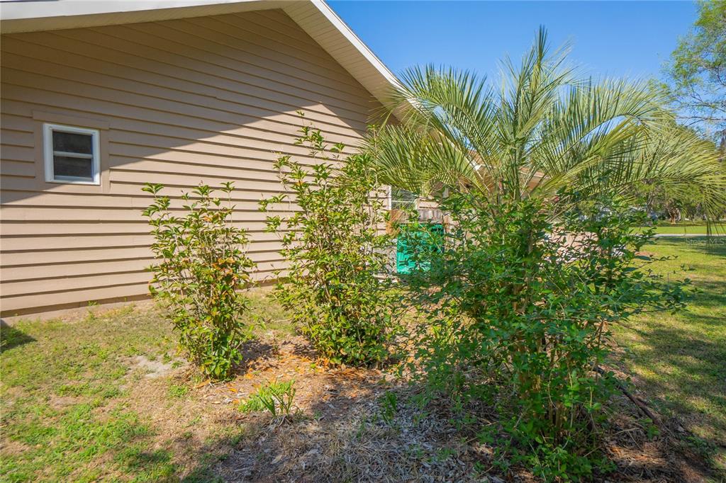 9800 East Regency Row Inverness, FL 34450 - Photo 61 of 66