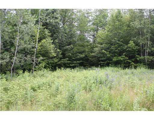 Lot 12 Pond Road Abbot, ME 04406 - Photo 6 of 7 Land.
