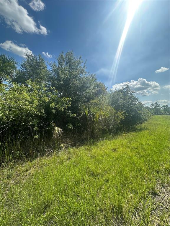 Snowdrift Ter Port North Port, FL 34288 - Photo 4 of 7 a view of lake background with mountain