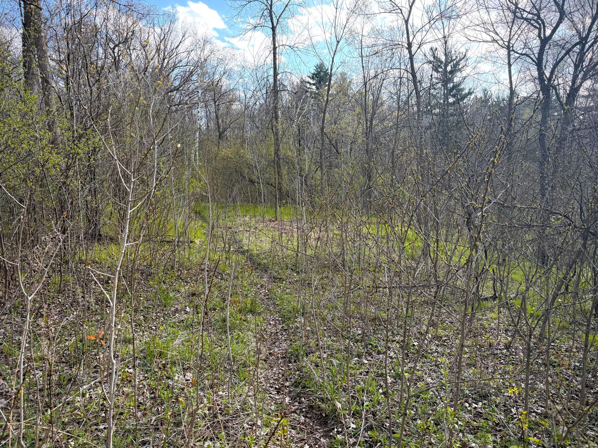 Tbd County Line Avenue Clear Lake, WI 54005 - Photo 10 of 12