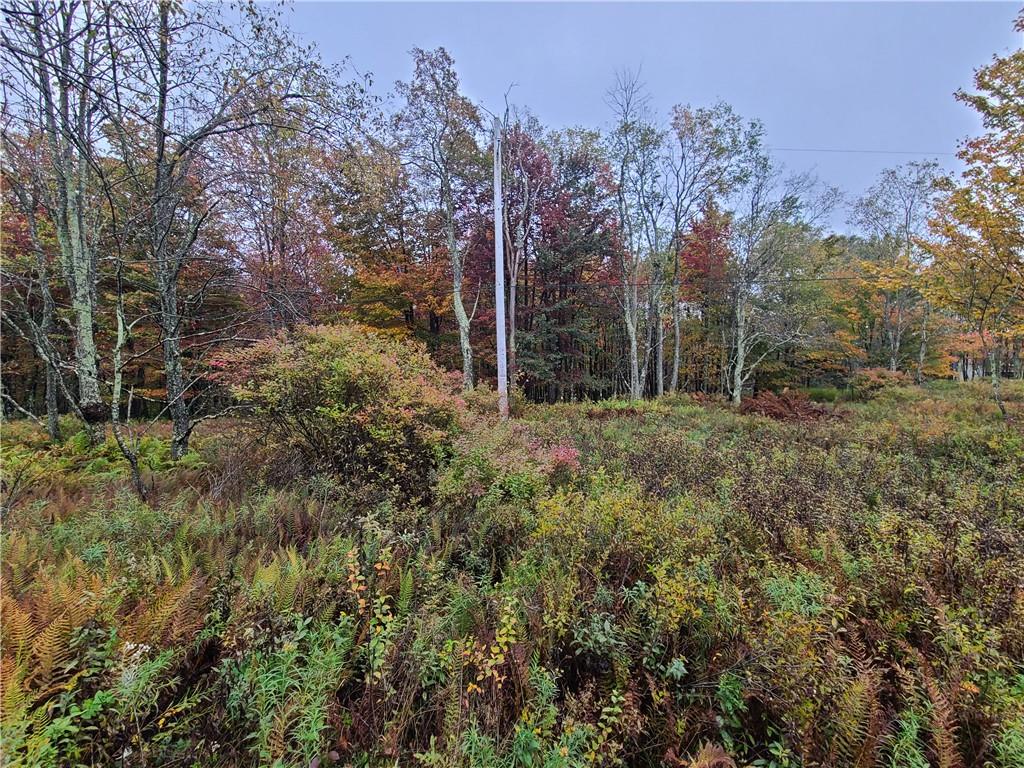 116 Voss Road Claryville, NY 12725 - Photo 17 of 30 a big yard with lots of green space and plants