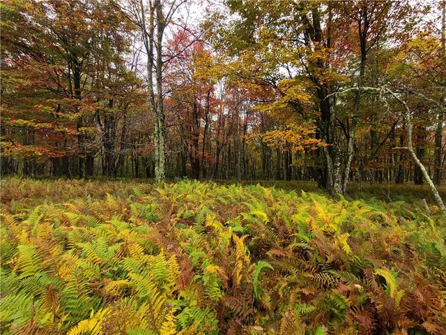 a bathroom with a small yard