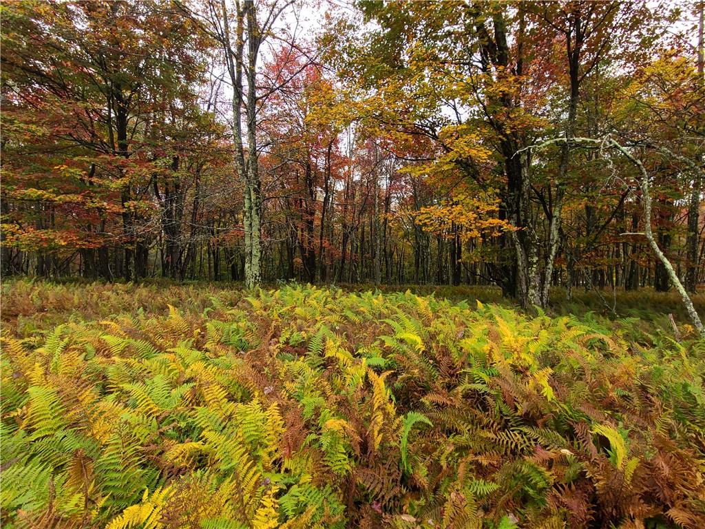 116 Voss Road Claryville, NY 12725 - Photo 19 of 30 a bathroom with a small yard