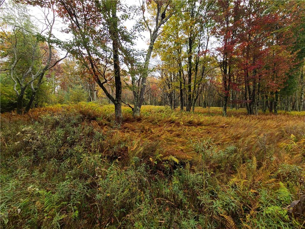 116 Voss Road Claryville, NY 12725 - Photo 21 of 30 a big yard with lots of green space and trees