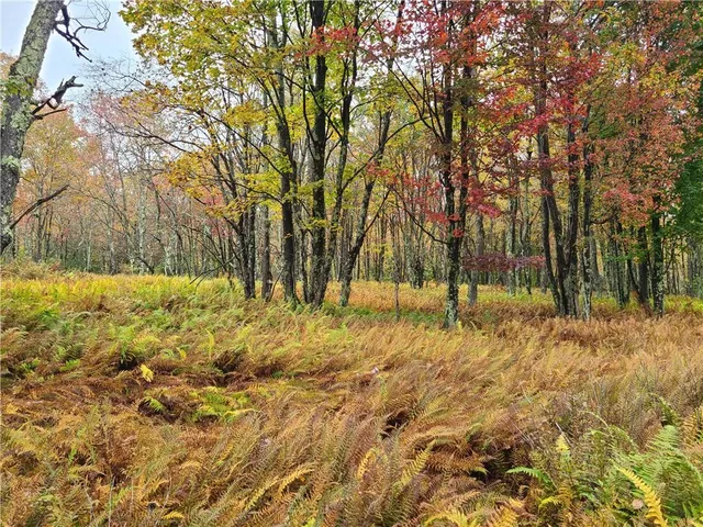 a view of backyard of house with green space