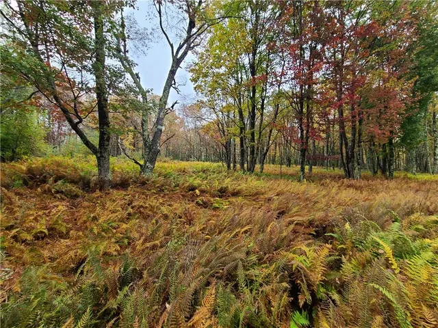 a fire hydrant in the middle of a field