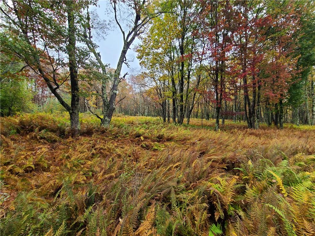 116 Voss Road Claryville, NY 12725 - Photo 23 of 30 a fire hydrant in the middle of a field