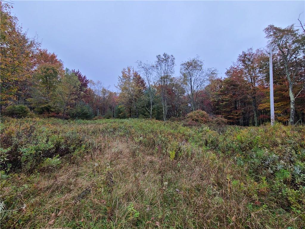 116 Voss Road Claryville, NY 12725 - Photo 26 of 30 a view of a backyard