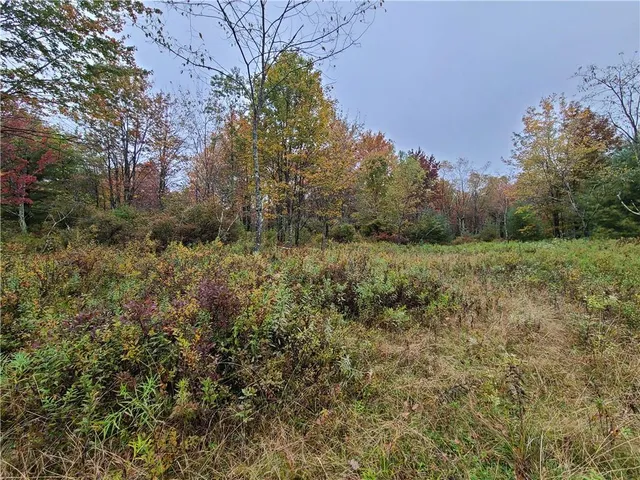a view of a field of grass and trees