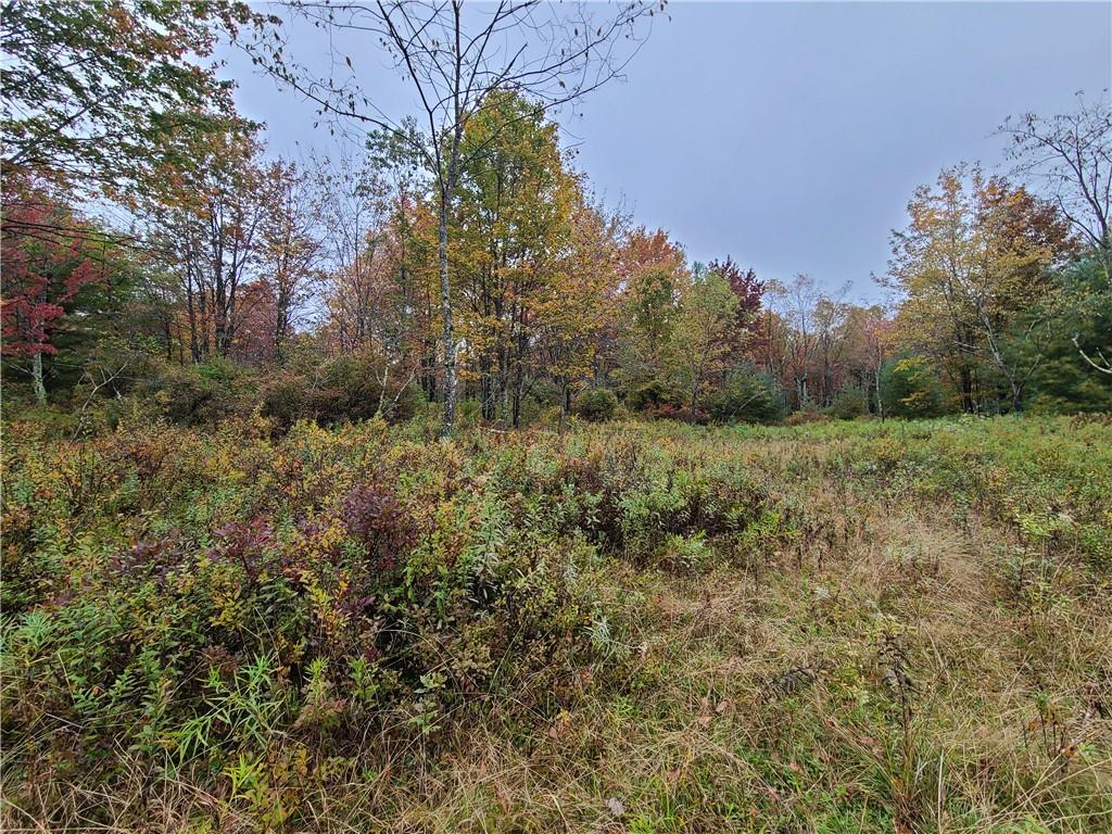 116 Voss Road Claryville, NY 12725 - Photo 27 of 30 a view of a field of grass and trees