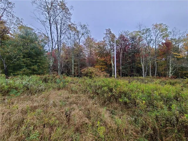 a view of backyard with green space