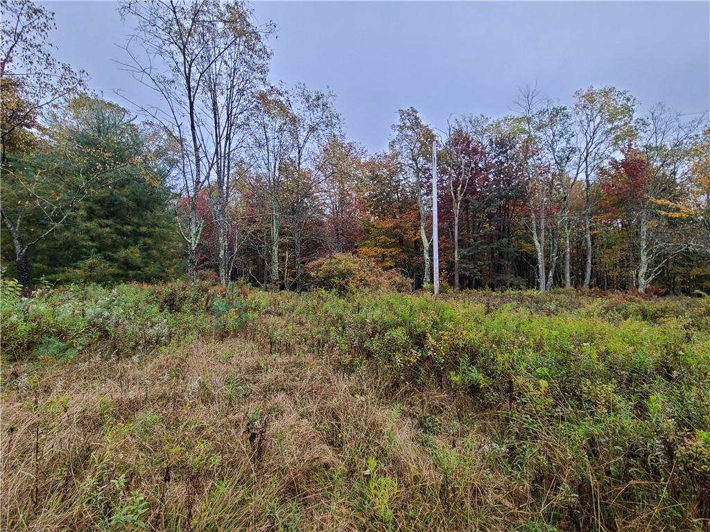 116 Voss Road Claryville, NY 12725 - Photo 3 of 30 a view of backyard with green space