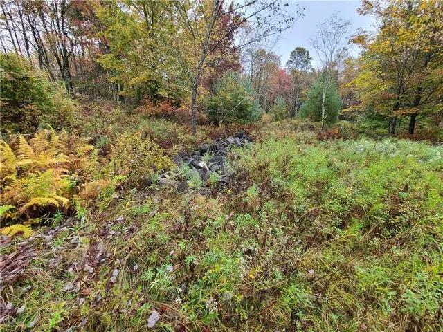a view of a field with trees in the background