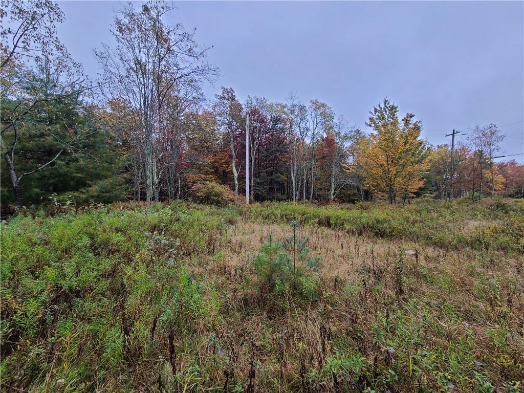 116 Voss Road Claryville, NY 12725 - Photo 7 of 30 a view of a backyard