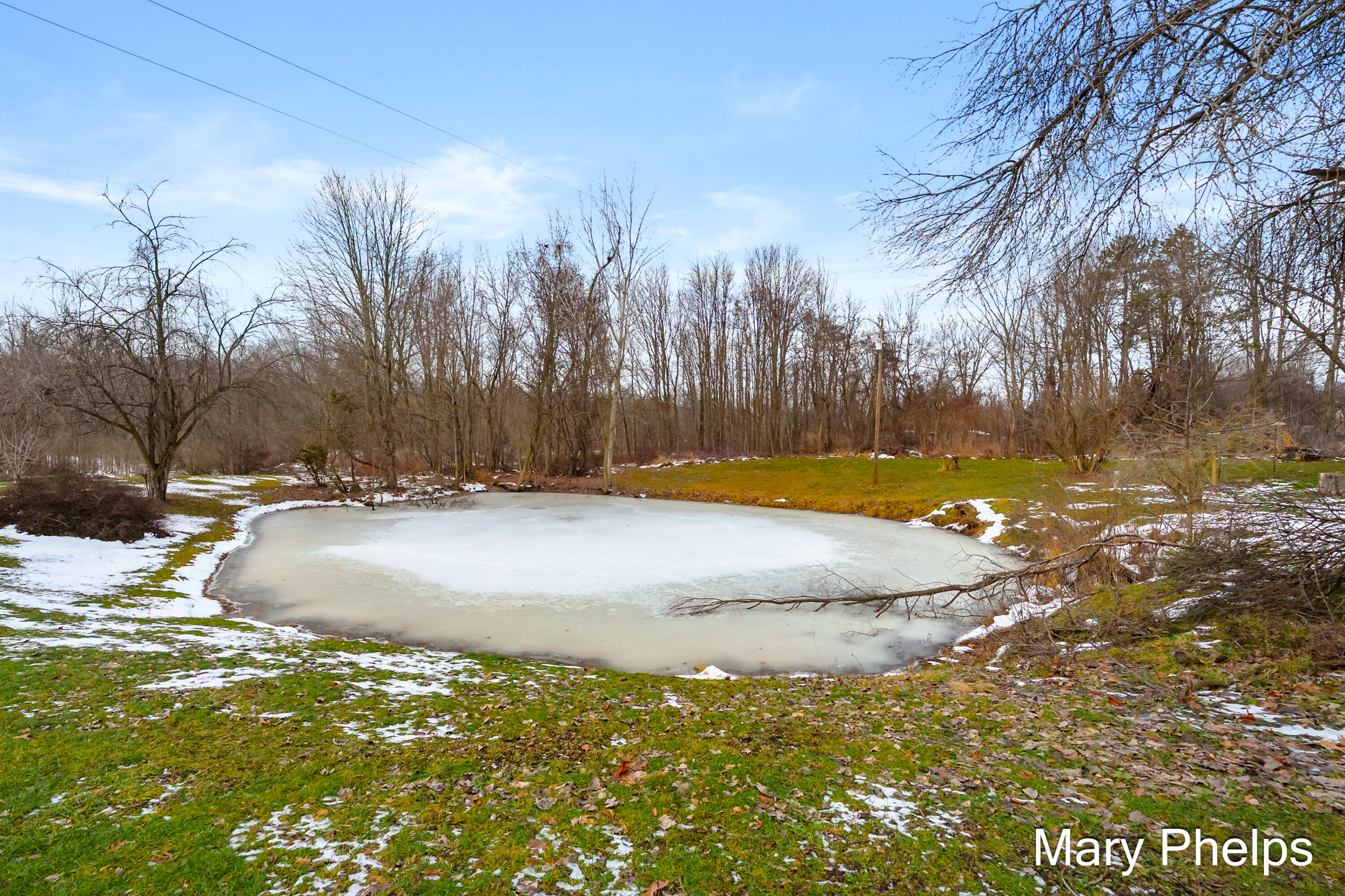 238 41st Street Allegan, MI 49010 - Photo 29 of 51 Spring fed pond