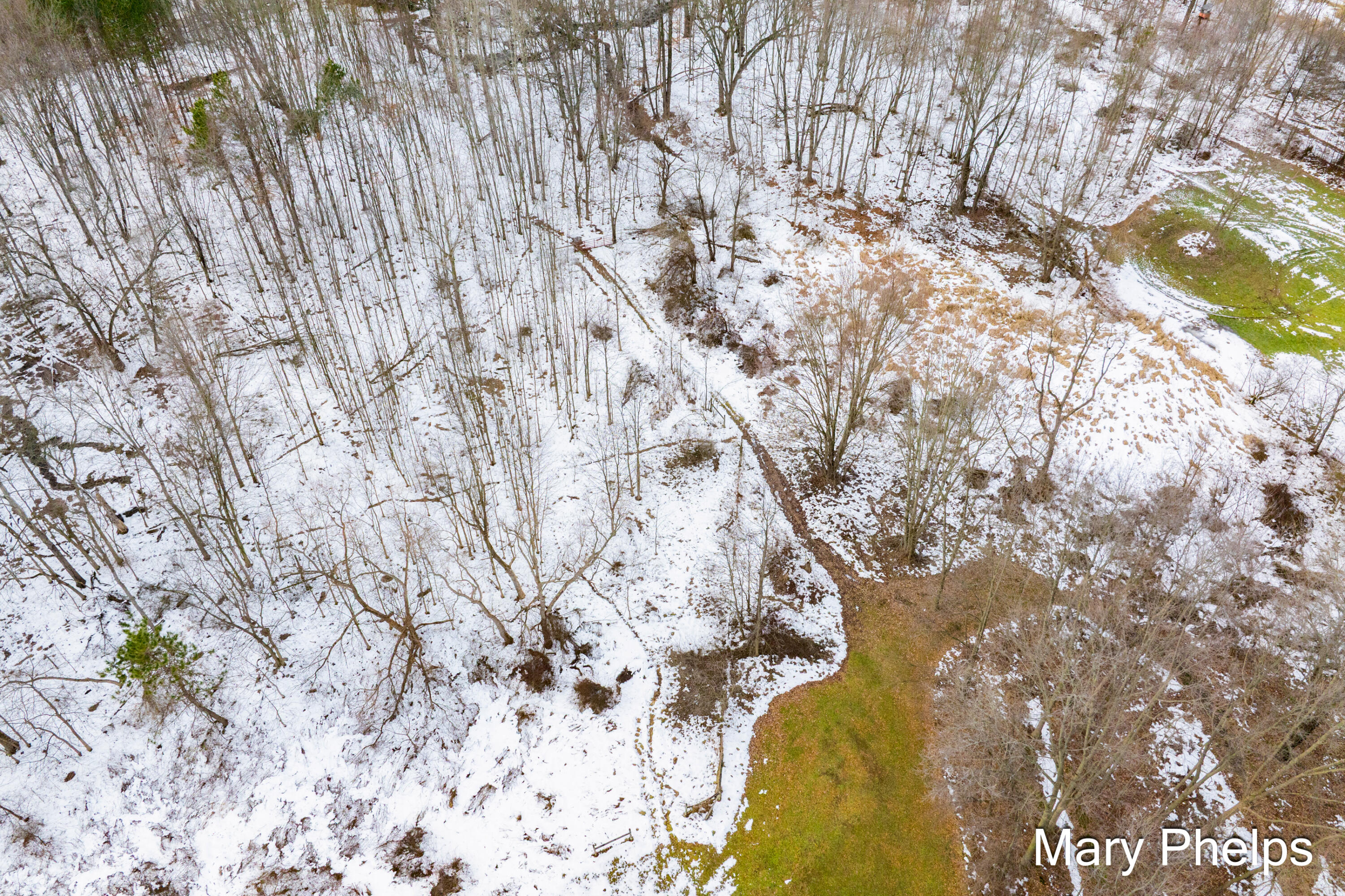 238 41st Street Allegan, MI 49010 - Photo 37 of 51 trails