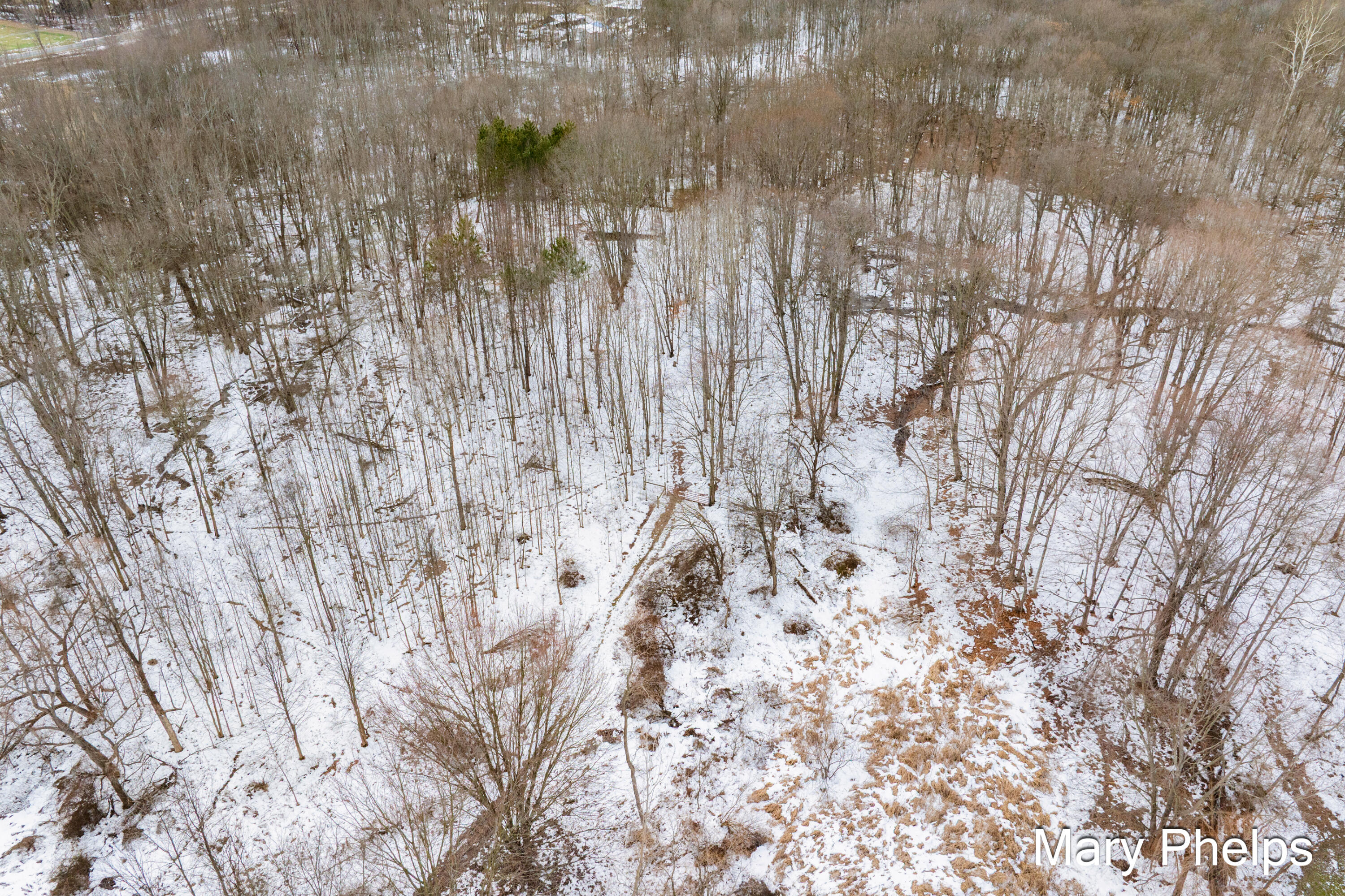 238 41st Street Allegan, MI 49010 - Photo 39 of 51 15 acres