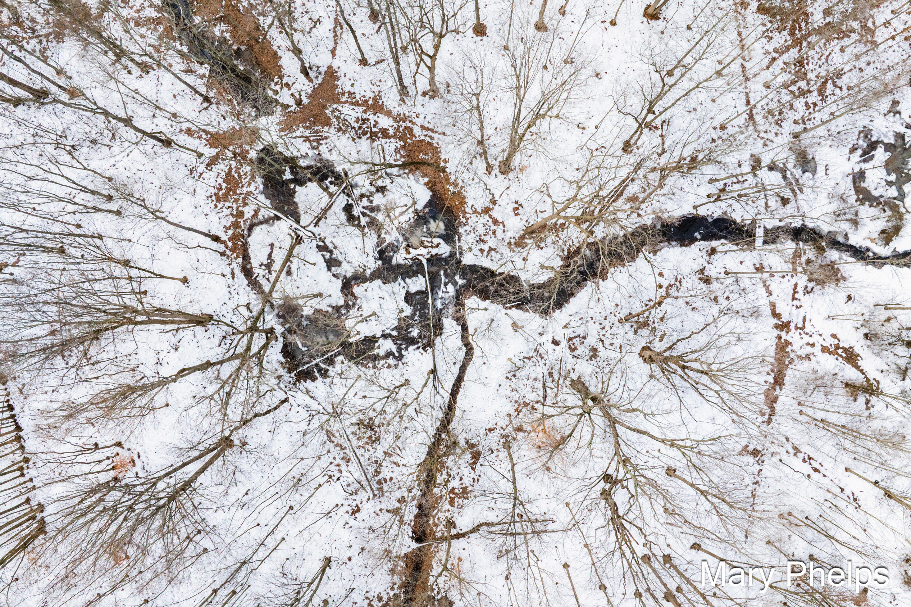 238 41st Street Allegan, MI 49010 - Photo 40 of 51 artesian well