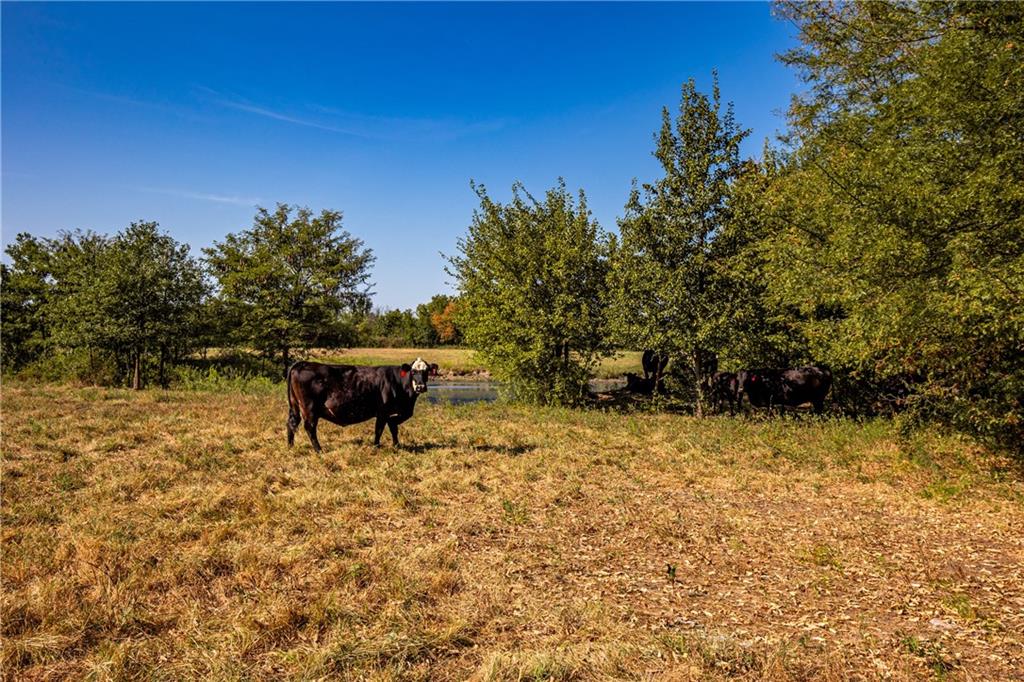 2243 Tomahawk Road Fort Scott, KS 66701 - Photo 51 of 82 Gallery Image 51