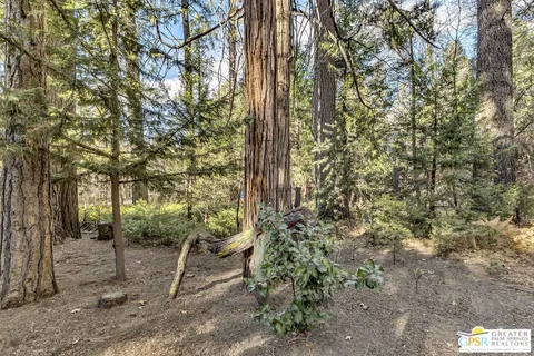 $449,000 | 54865 Strong Drive, Idyllwild, CA 92549