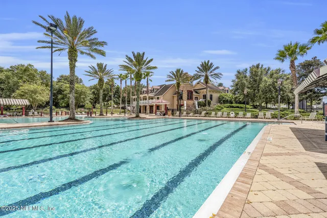 a view of park with palm trees