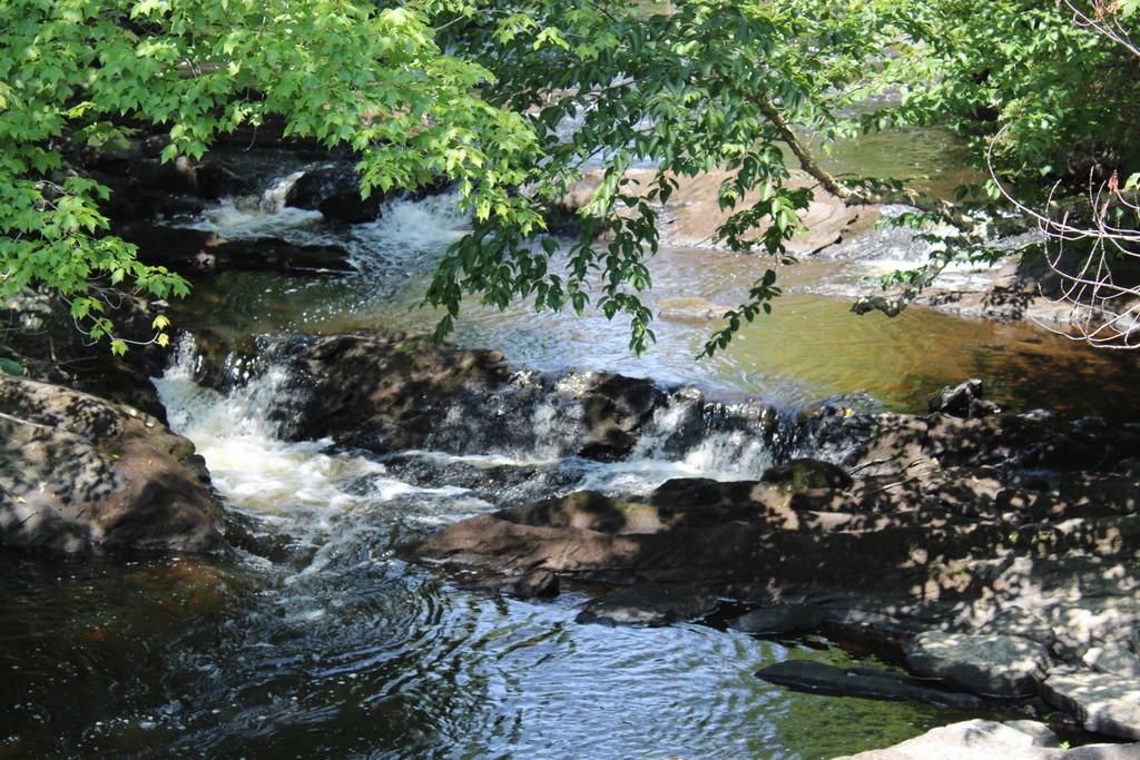 11 Shepard Road Belfast, ME 04915 - Photo 7 of 36 IMG_0545