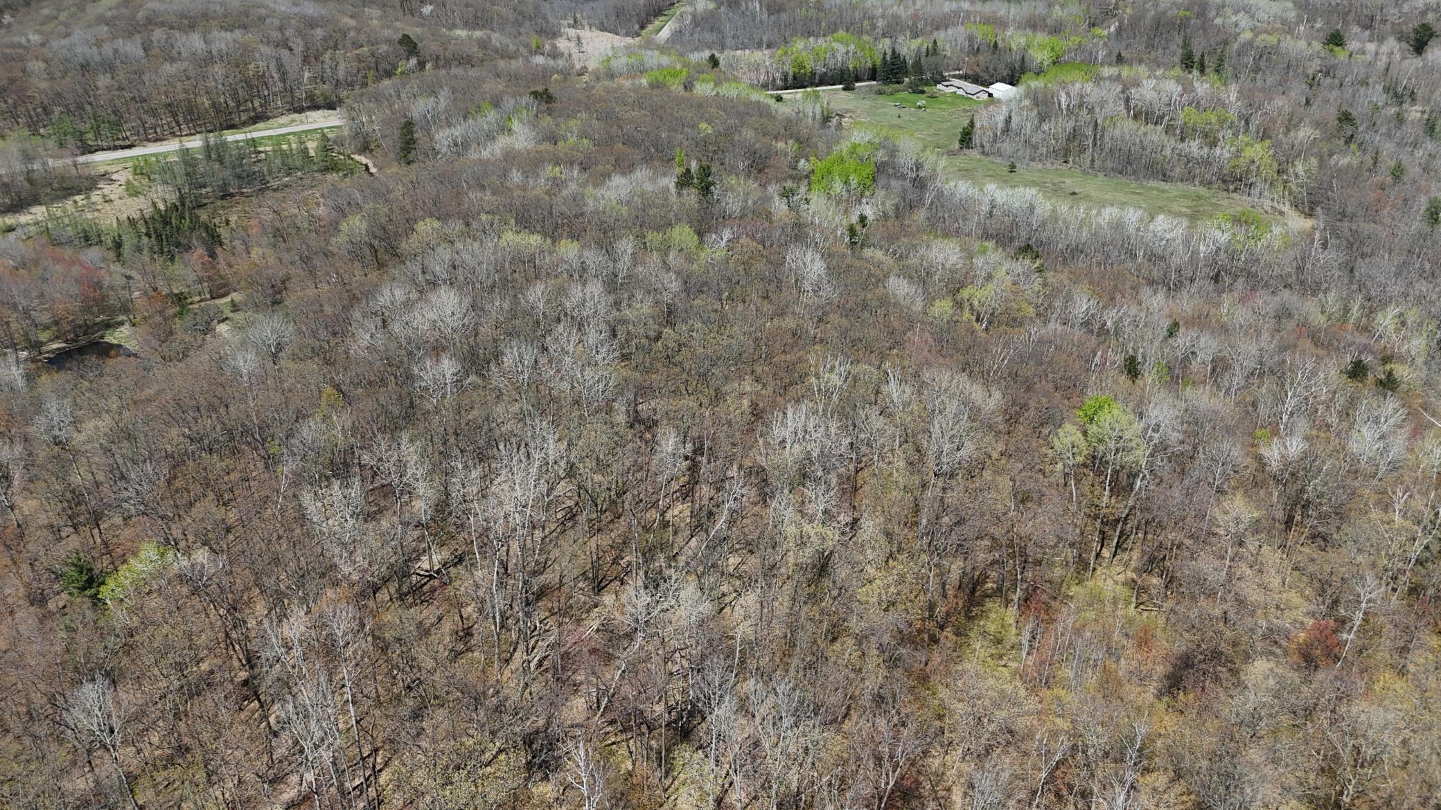 Tbd Bear Road Cushing, MN 56443 - Photo 13 of 42