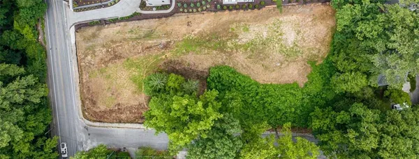 a view of a small yard