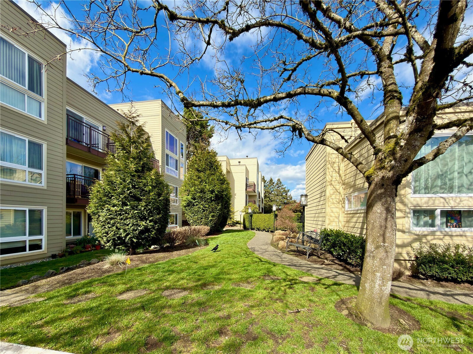 5834 Northeast 75th Street, Unit B202 Seattle, WA 98115 - Photo 27 of 36
