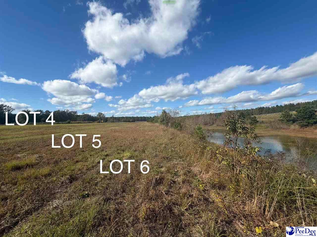 Lot 5 Mallory Beach Road Latta, SC 29565 - Photo 3 of 3 Gallery Image 3