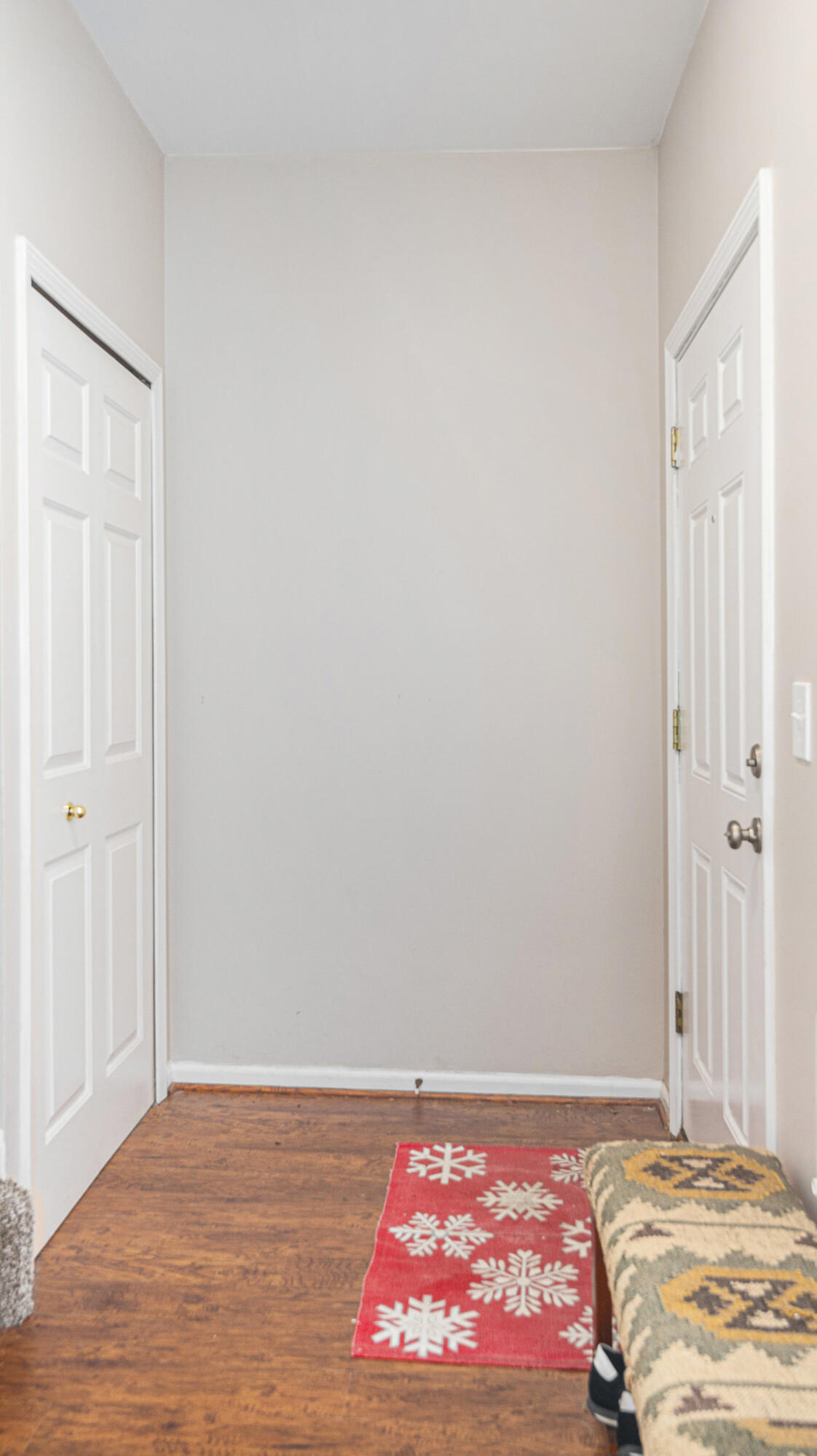 1102 Rial Lake Drive Howell, MI 48843 - Photo 12 of 24 Entryway