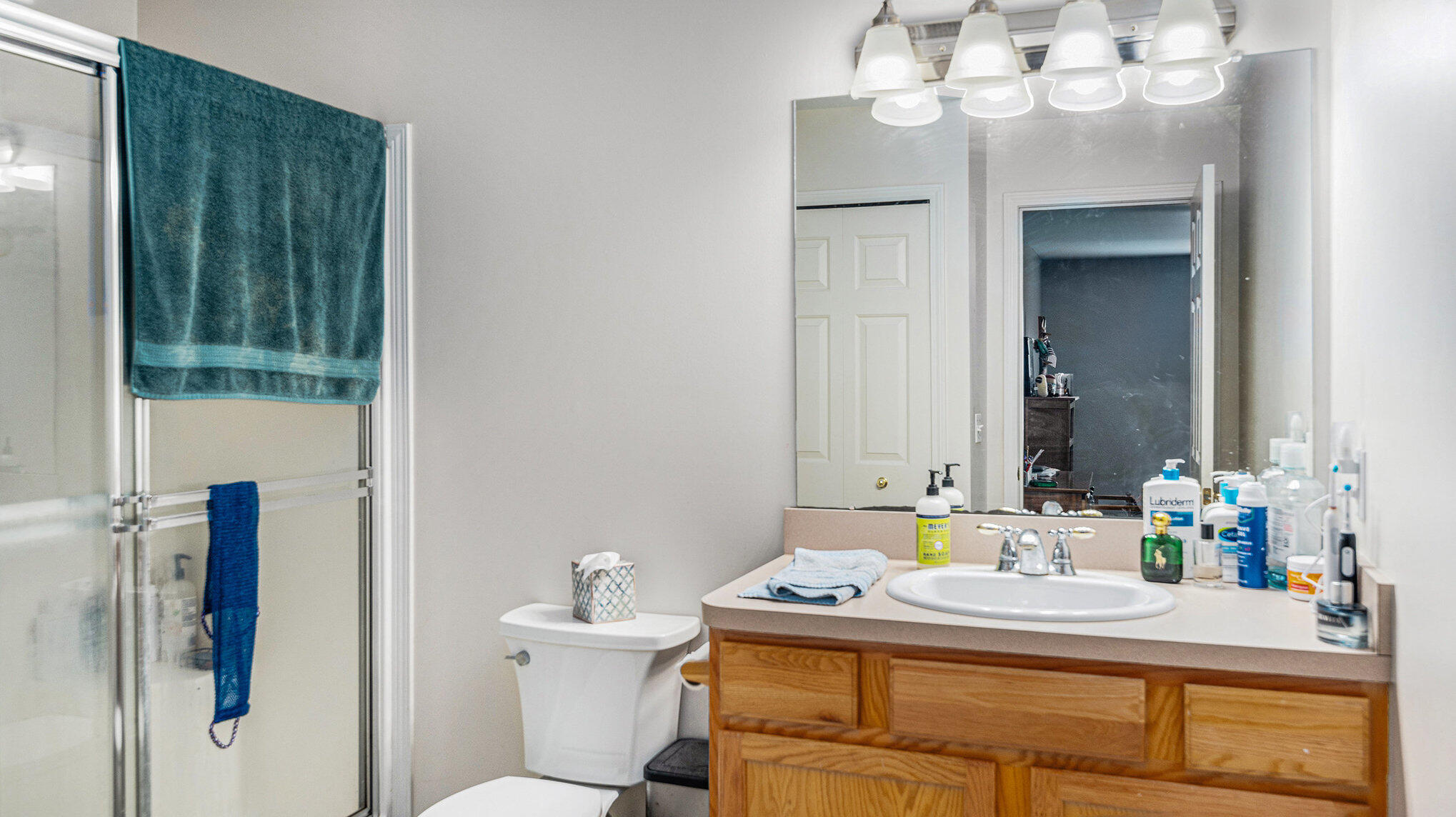 1102 Rial Lake Drive Howell, MI 48843 - Photo 14 of 24 Primary Bathroom