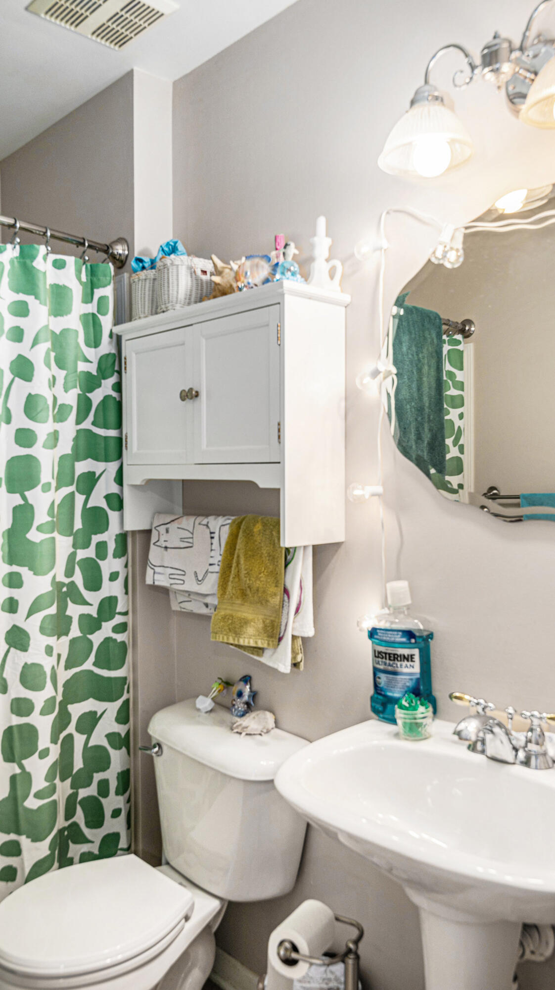 1102 Rial Lake Drive Howell, MI 48843 - Photo 16 of 24 Main Bathroom