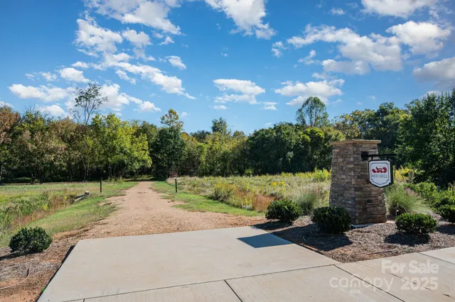 a view of a garden with a pathway