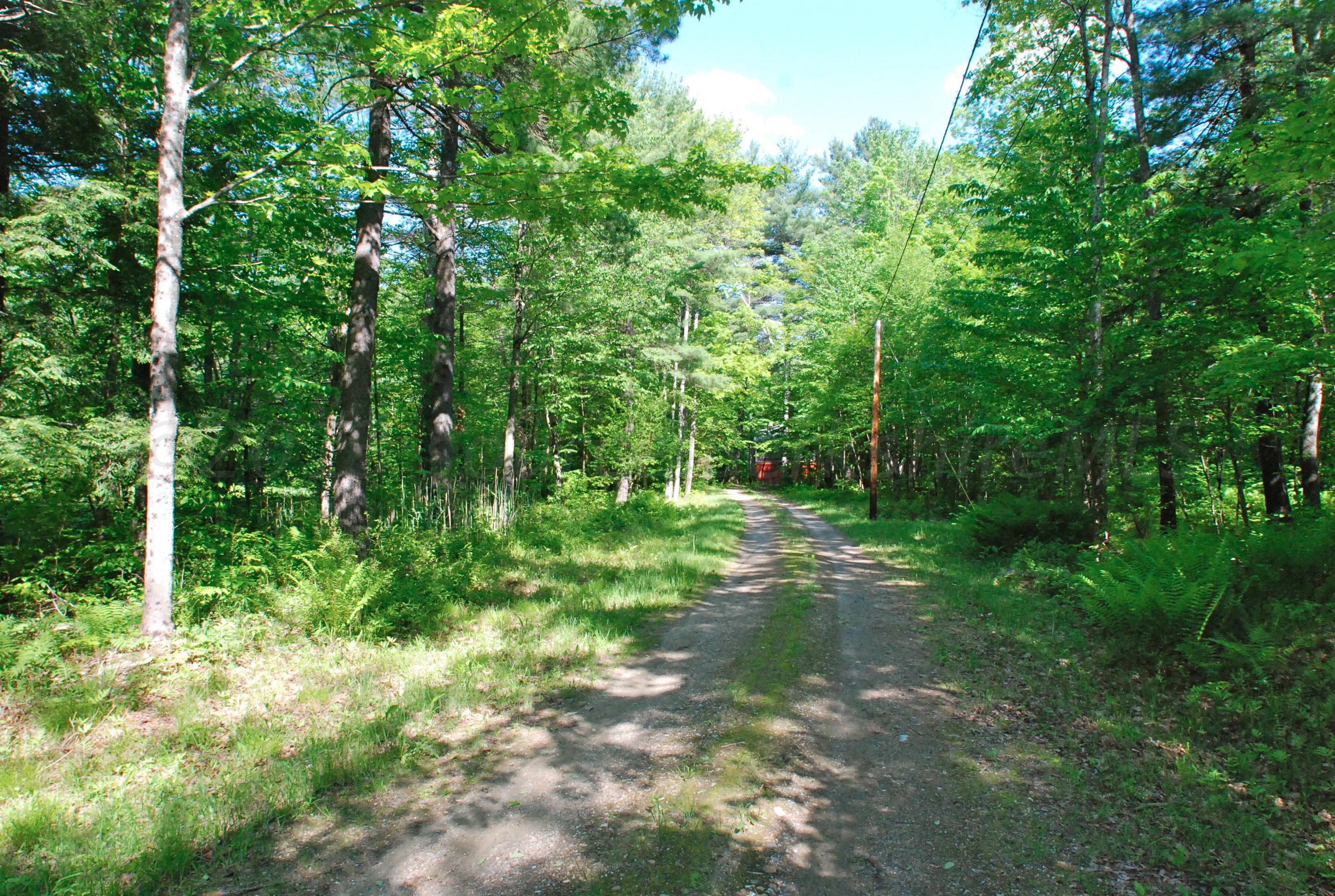 53 Harmon Road Monterey, MA 01245 - Photo 16 of 31 DRIVEWAY IN SUMMER