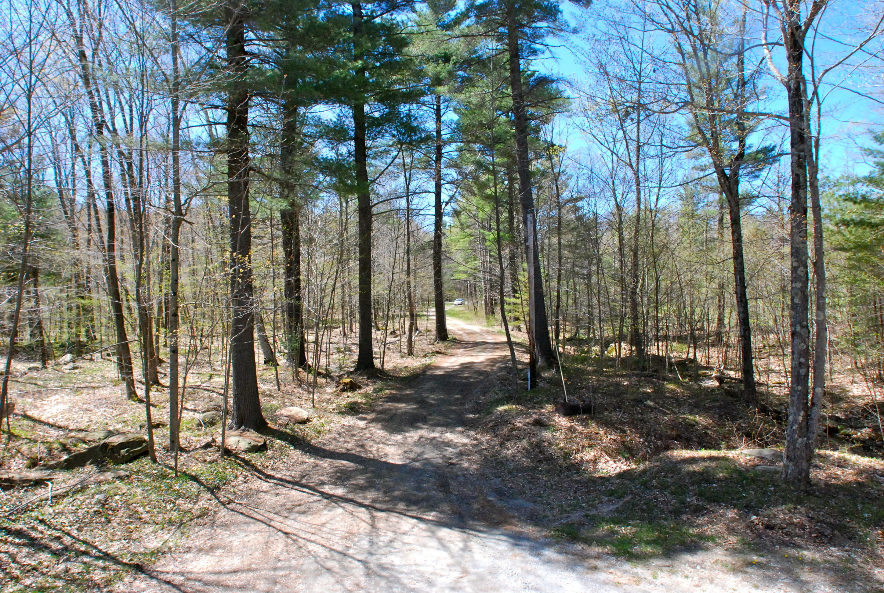 53 Harmon Road Monterey, MA 01245 - Photo 19 of 31 LOOKING BACK OUT THE DRIVEWAY