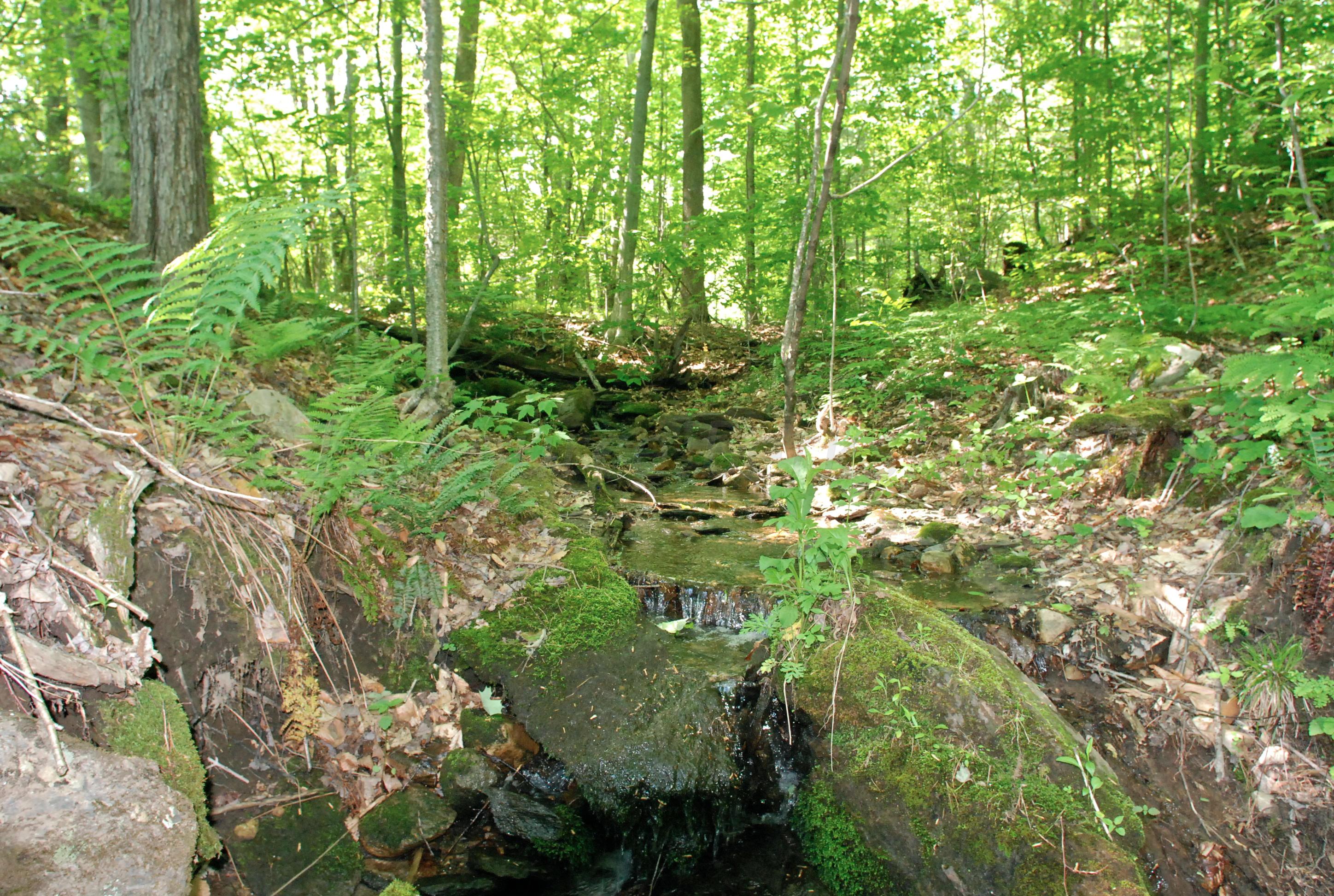 53 Harmon Road Monterey, MA 01245 - Photo 26 of 31 SUMMER STREAM