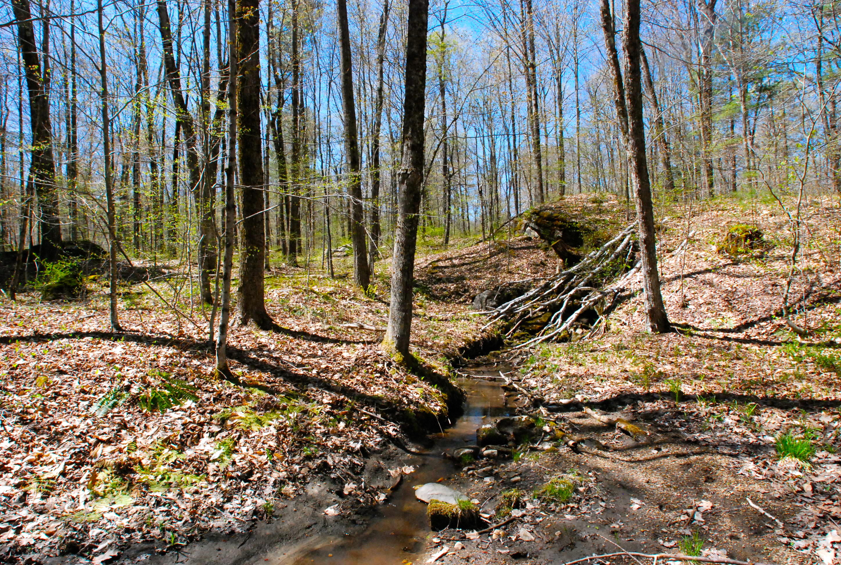 53 Harmon Road Monterey, MA 01245 - Photo 28 of 31 STREAM