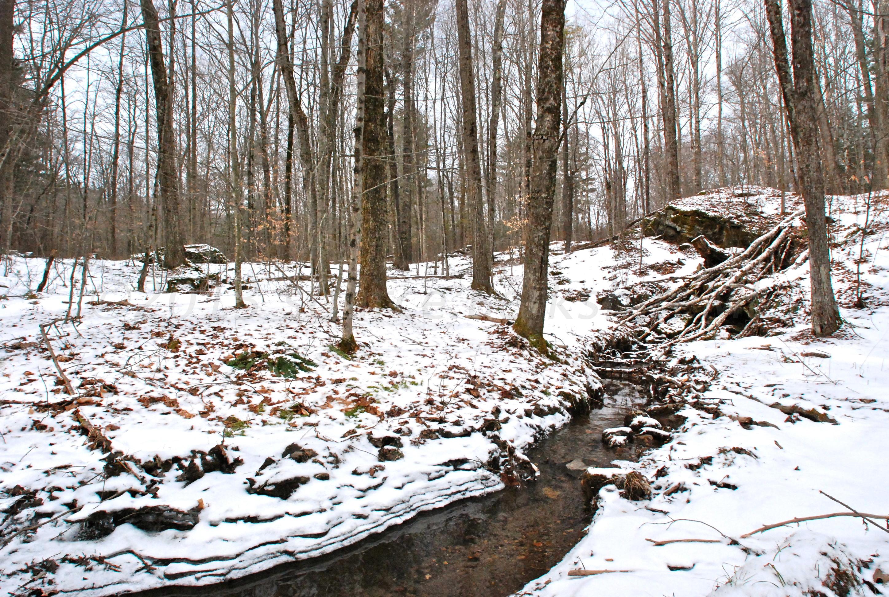 53 Harmon Road Monterey, MA 01245 - Photo 29 of 31 WINTER STREAM