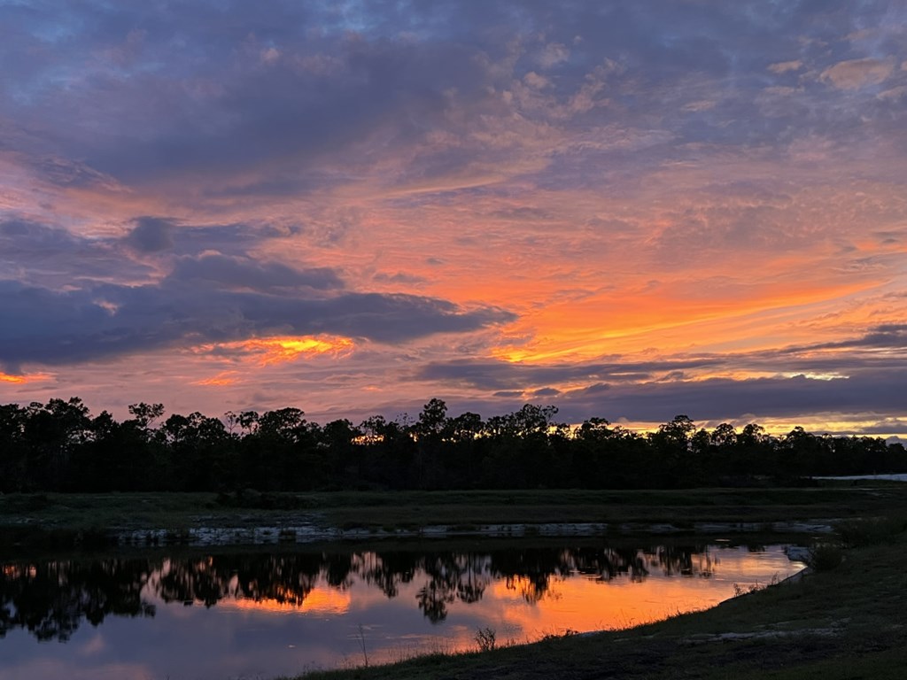 937 Backwater Road Port St. Joe, FL 32456 - Photo 47 of 50