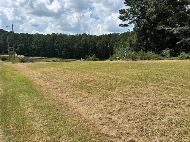 a view of a field with a yard