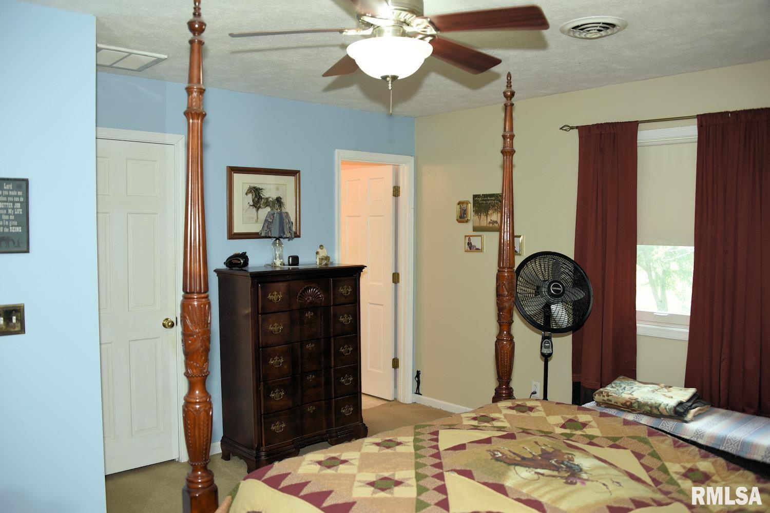 10790 Salisbury Road Pleasant Plains, IL 62677 - Photo 20 of 47 Gallery Image 20
