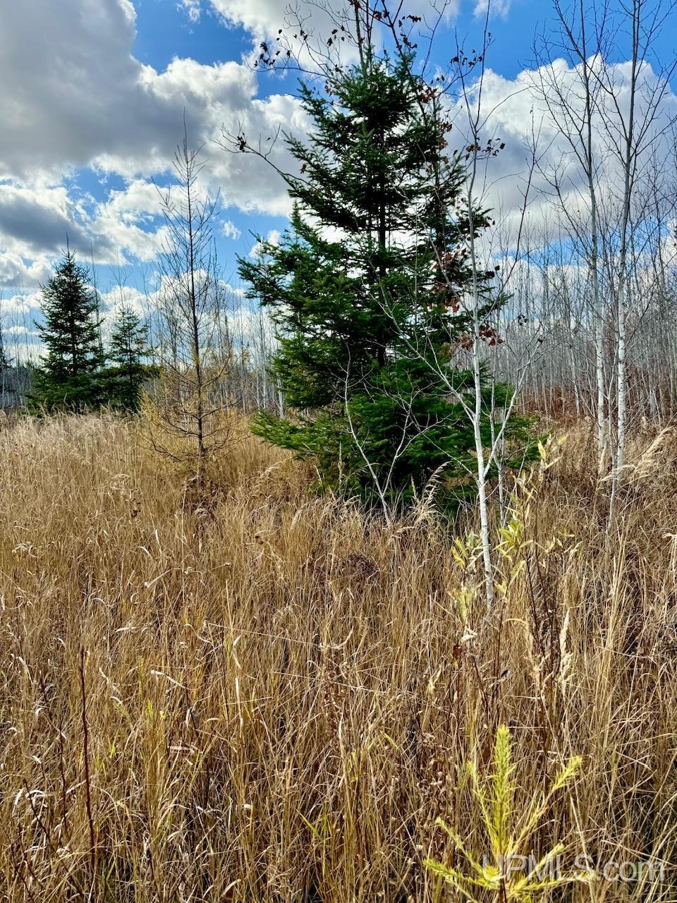 27.5 Rd 28 Acres Trail Gladstone, MI 49837 - Photo 20 of 24